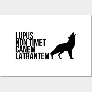 Lupus Non Timet Canem Latrantem Posters and Art